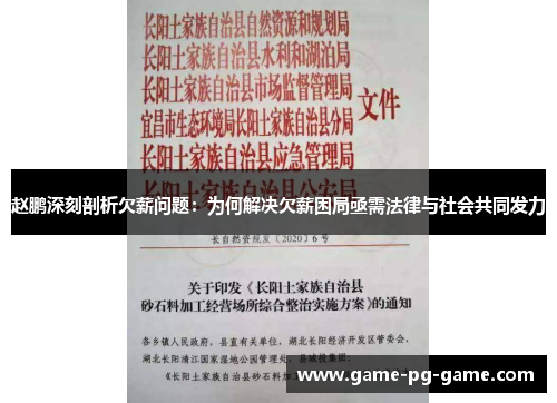 赵鹏深刻剖析欠薪问题：为何解决欠薪困局亟需法律与社会共同发力