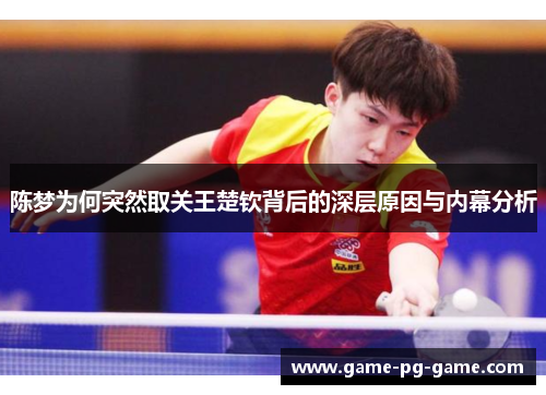 陈梦为何突然取关王楚钦背后的深层原因与内幕分析