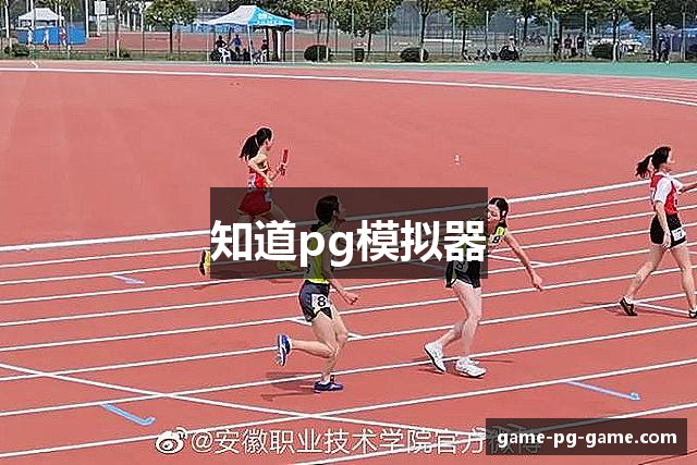知道pg模拟器